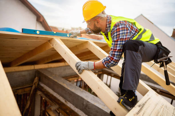 Roof Gutter Cleaning in Lake Waynoka, OH