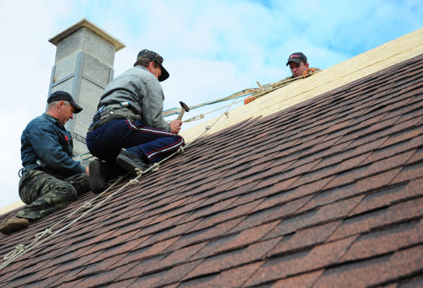 Best New Roof Installation  in Lake Waynoka, OH